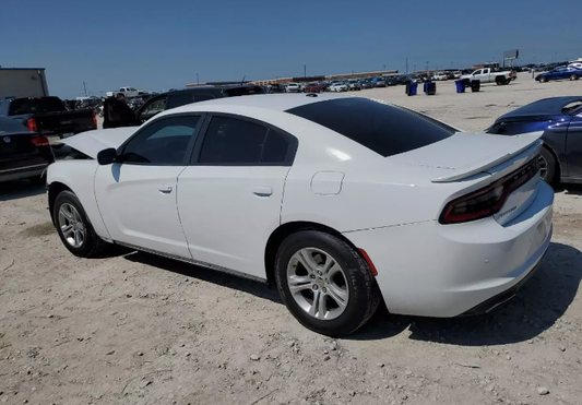 2019 Dodge Charger Rear Door (White Color)