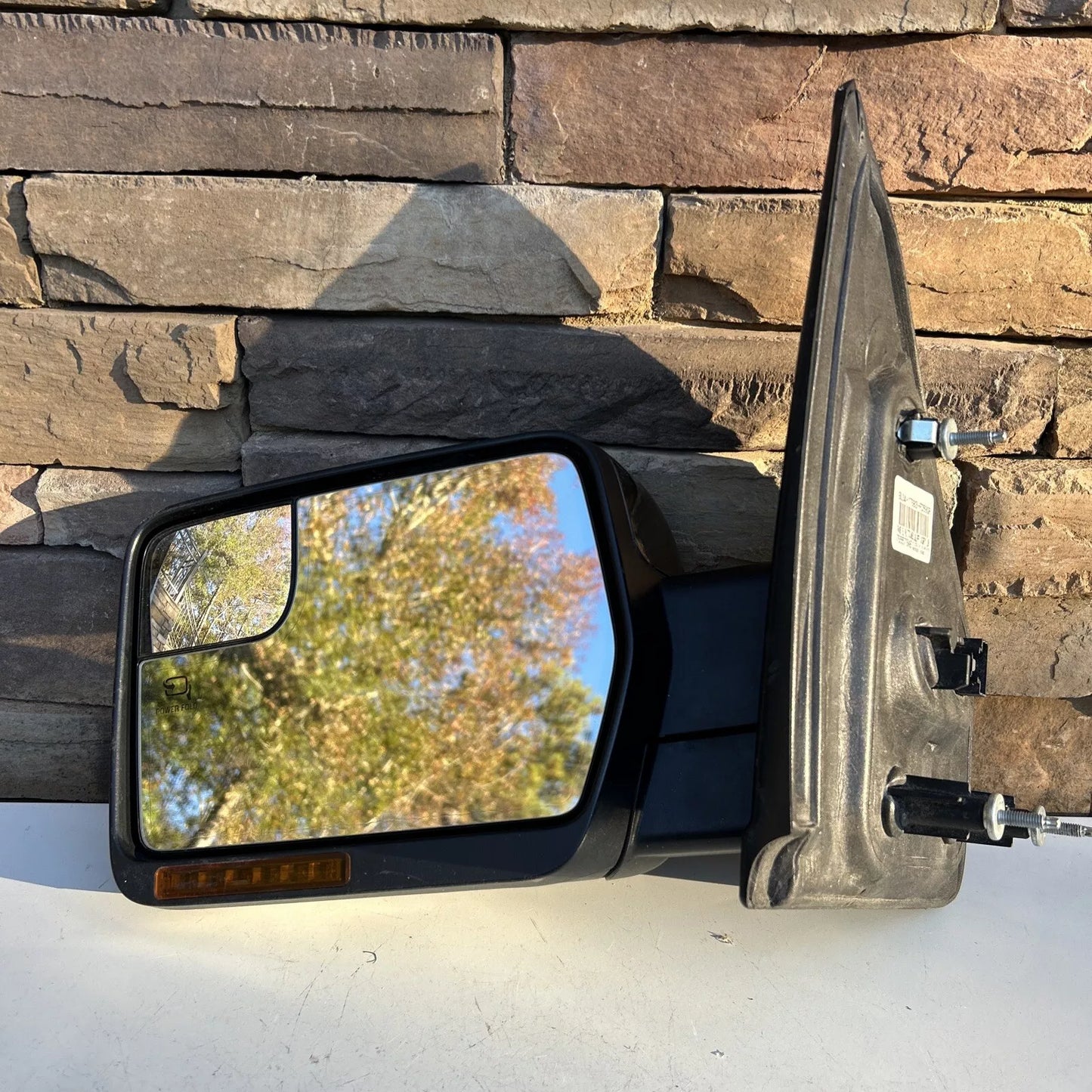 2013 Ford F150 Driver Side Mirror